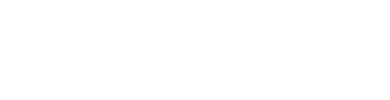 Travel Cashier
